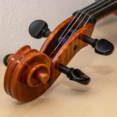 Viola Schnecke