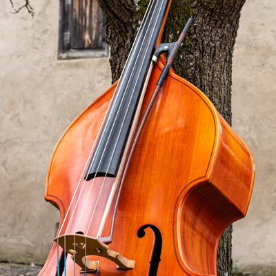 Bass mit Bogen